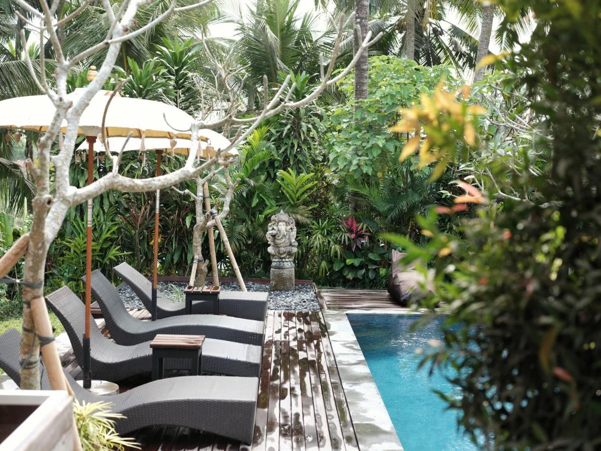 Hotel Suarsena Bisma à Ubud Extérieur photo
